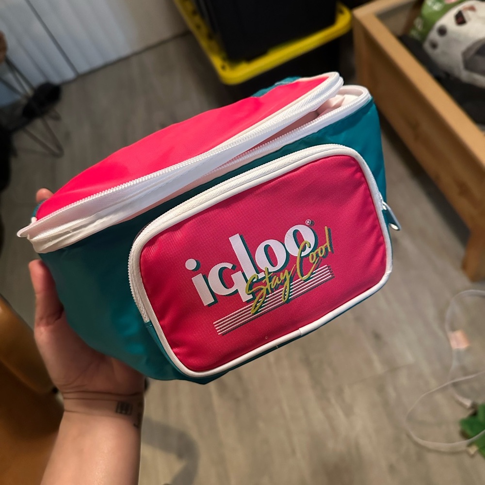Igloo Pink and Teal Insulated Fanny Pack